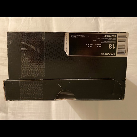 Nike LeBron James XIII Black Lion - Picture 5 of 9